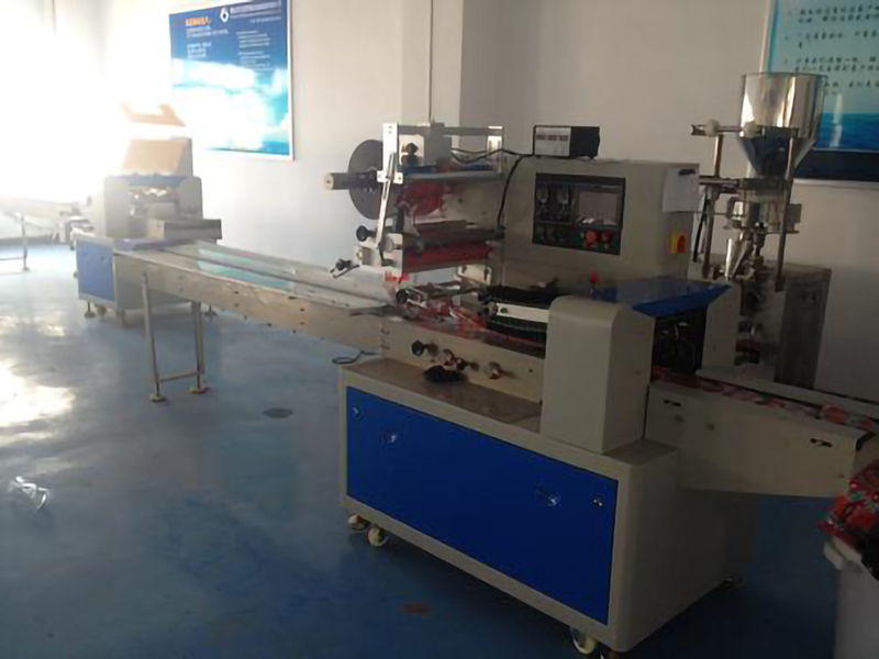 SU-C600枕式包装机(图4)